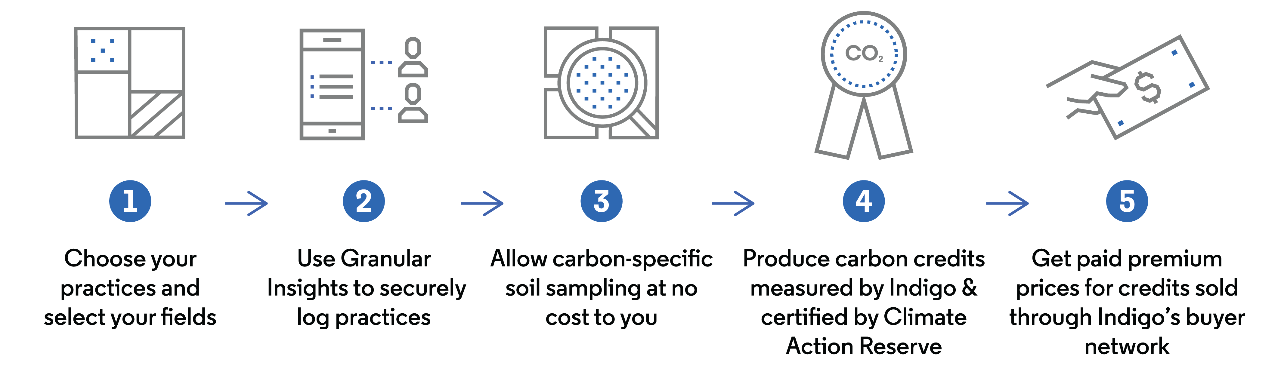 Carbon WEB Infographics