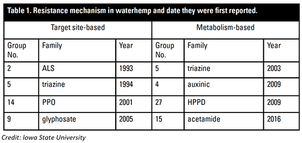 Resistance-mechanism-in-waterhemp-chart.png