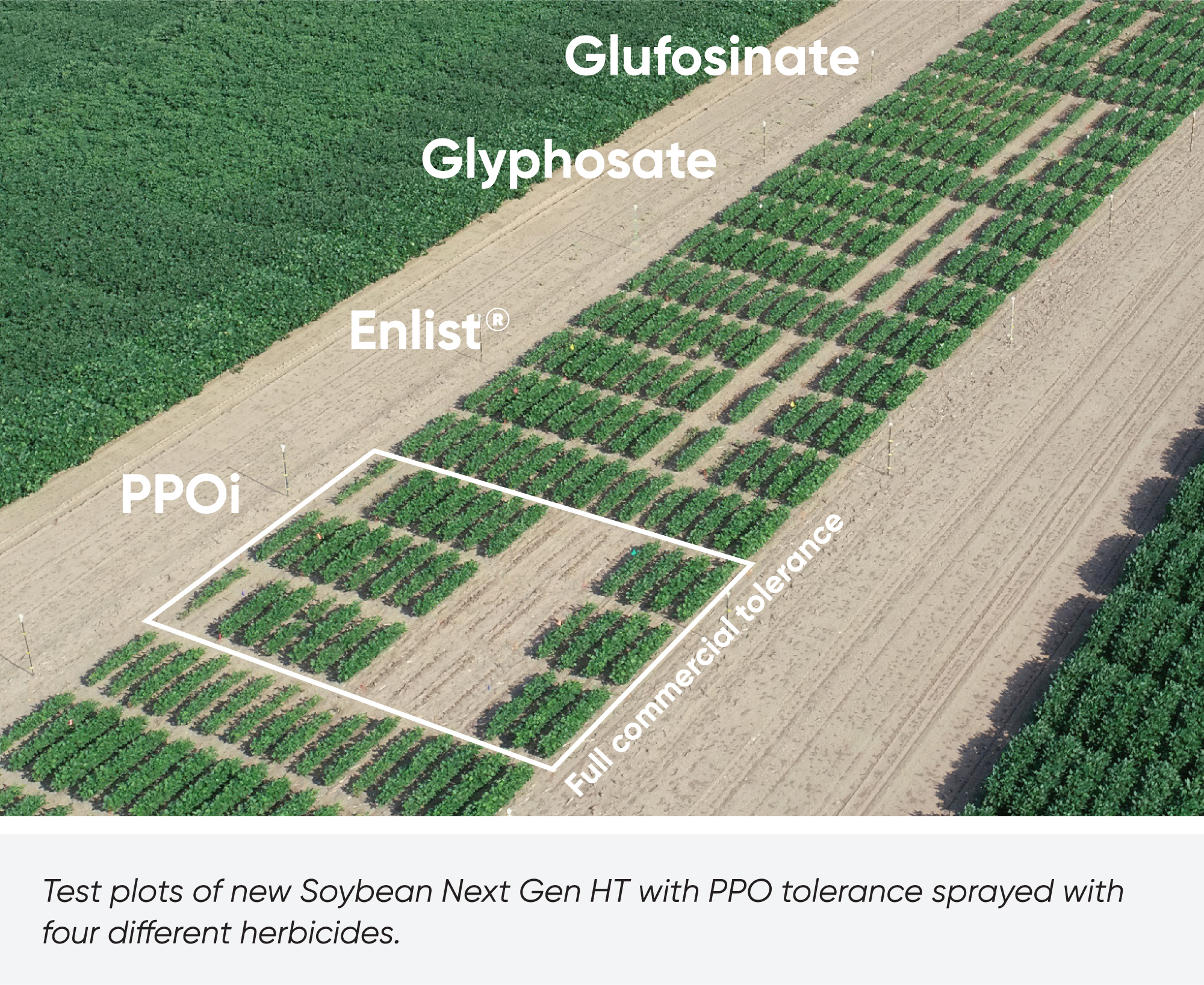 Next Gen HT plot drone shot