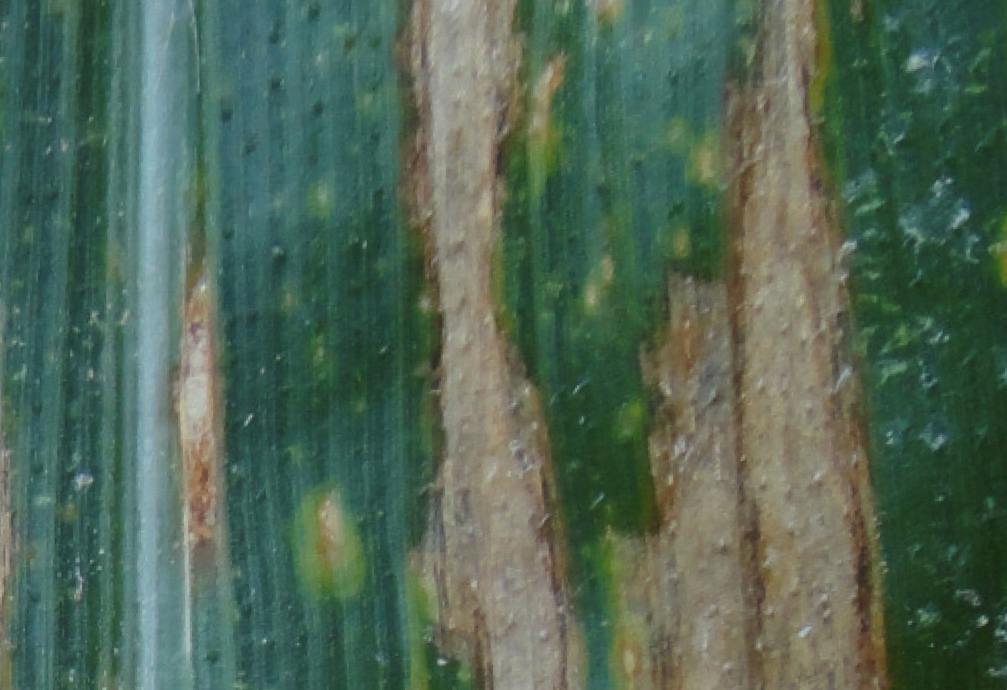 southern corn leaf blight