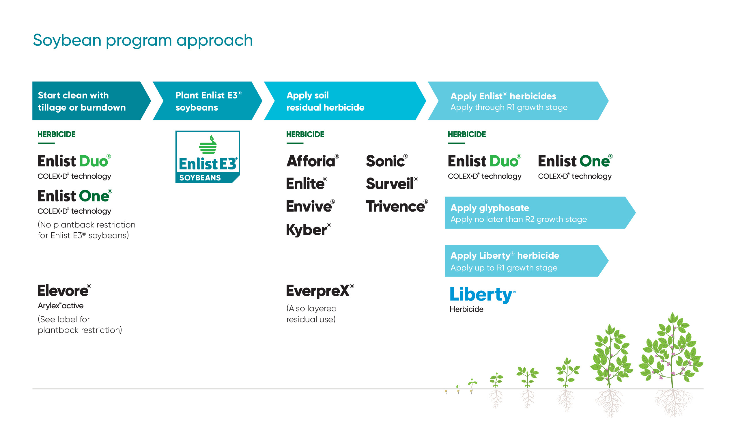 Top Soybean Herbicide Solutions for 2023 Inputs & Insights Corteva