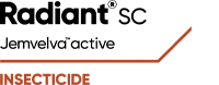 Radiant SC