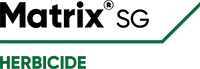 Matrix SG Logo