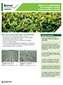 Vydate C-LV insecticide and nematicide fact sheet