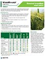 WideARmatch herbicide fact sheet