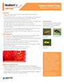 Radiant® SC insecticide strawberry fact sheet image