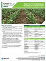 Cinch® ATZ herbicide fact sheet